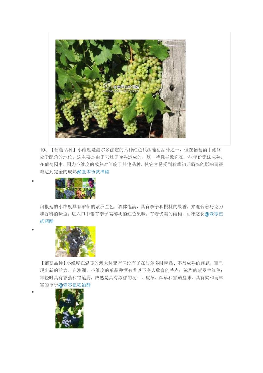 主要葡萄品种的总体评价_第4页