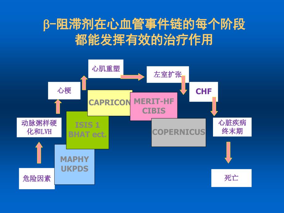 爱络心血管急重症专家讲义_第3页