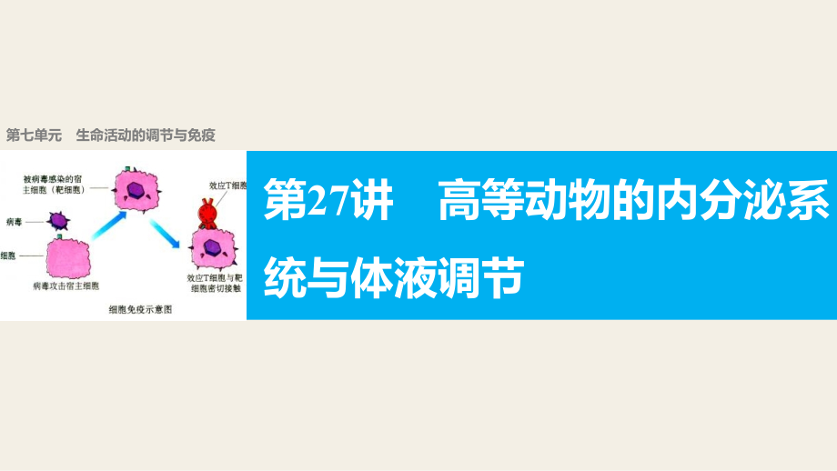 【新步步高】2018版浙江高考生物《选考总复习》课件第7单元第27讲高等动物的内分泌系统与体液调节_第1页