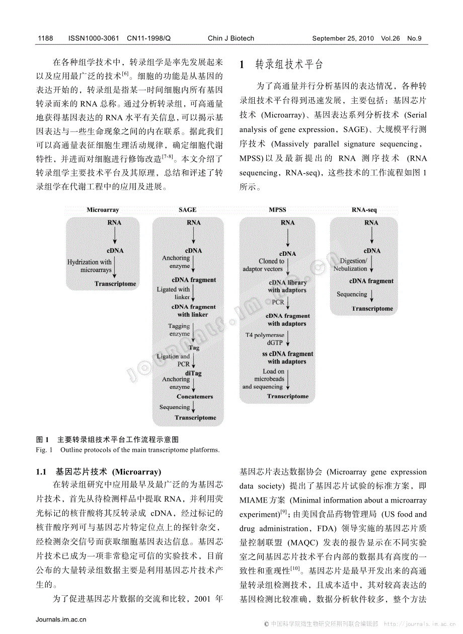 转录组平台技术及其在代谢工程中的应用_第2页