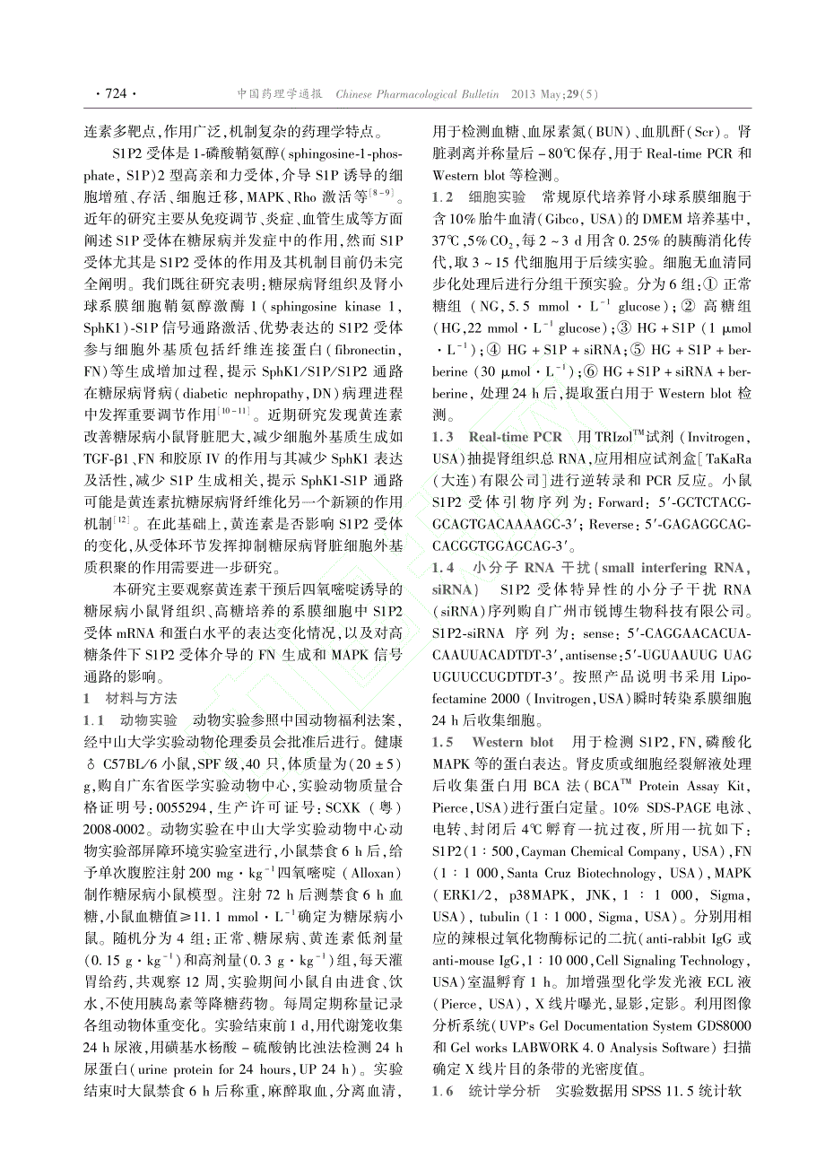 黄连素通过S1P2MAPK信号通路抗糖尿病肾纤维化作用机制_第2页