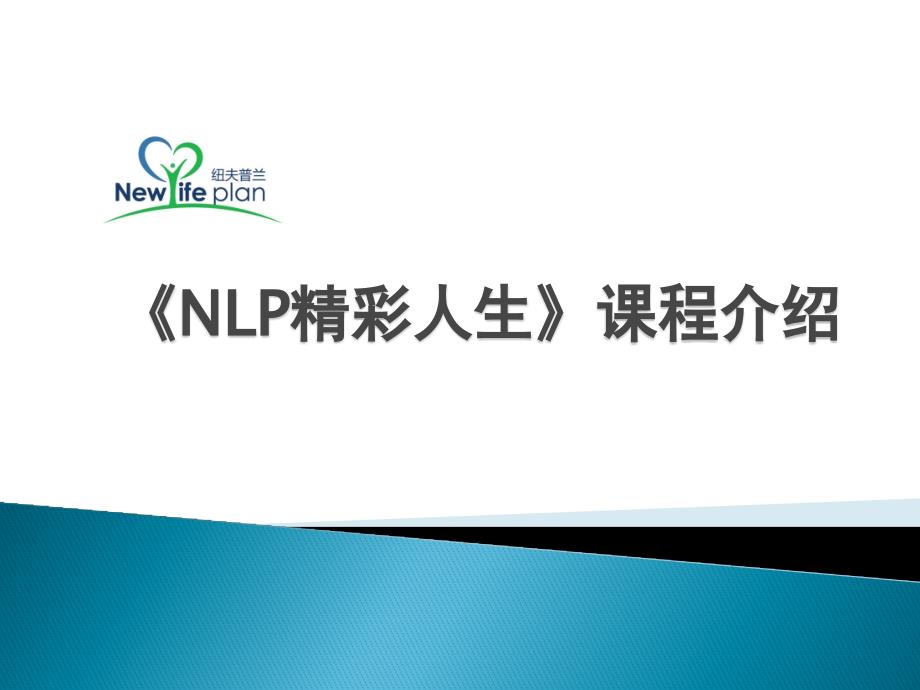 王国峰导师的nlp精彩人生详细介绍_第1页