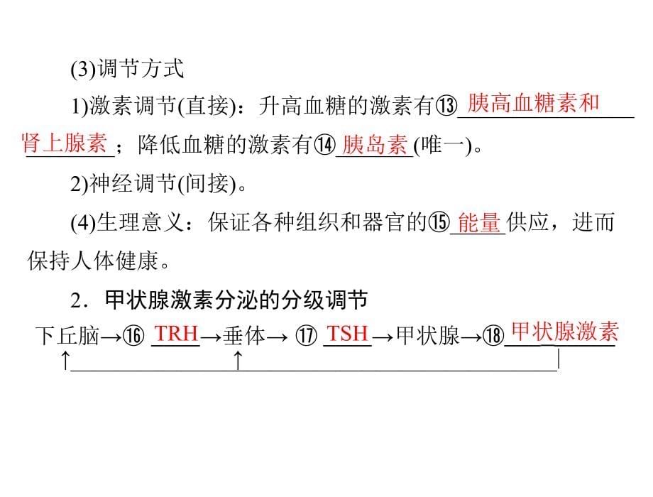 生物2013年高考复习课件：必修3 第2章 第2、3节 通过激素的调节、神经调节与体液调节的关系_第5页