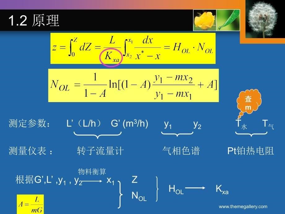 化工原理实验复习-2011_第5页