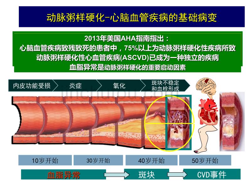 血脂异常的危险分层与治疗_第4页