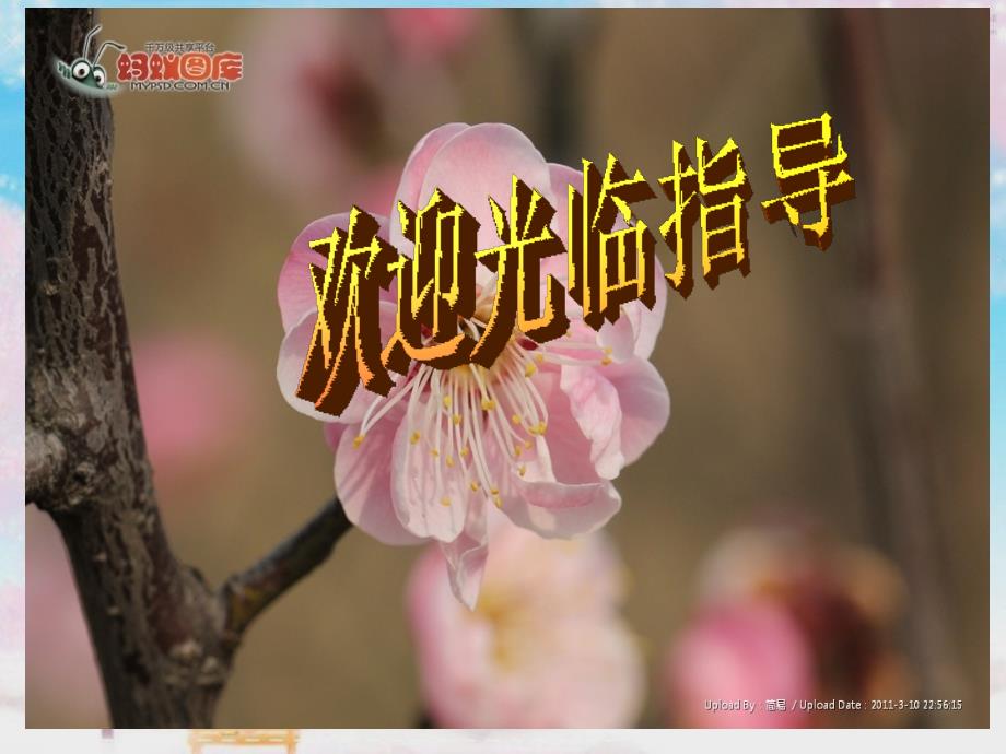 余角和补角(2)-方位角_第1页