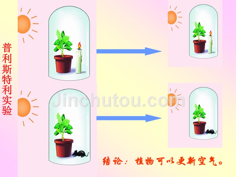 01.光合作用_第3页