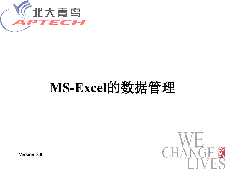 excel 高级应用教案_第1页