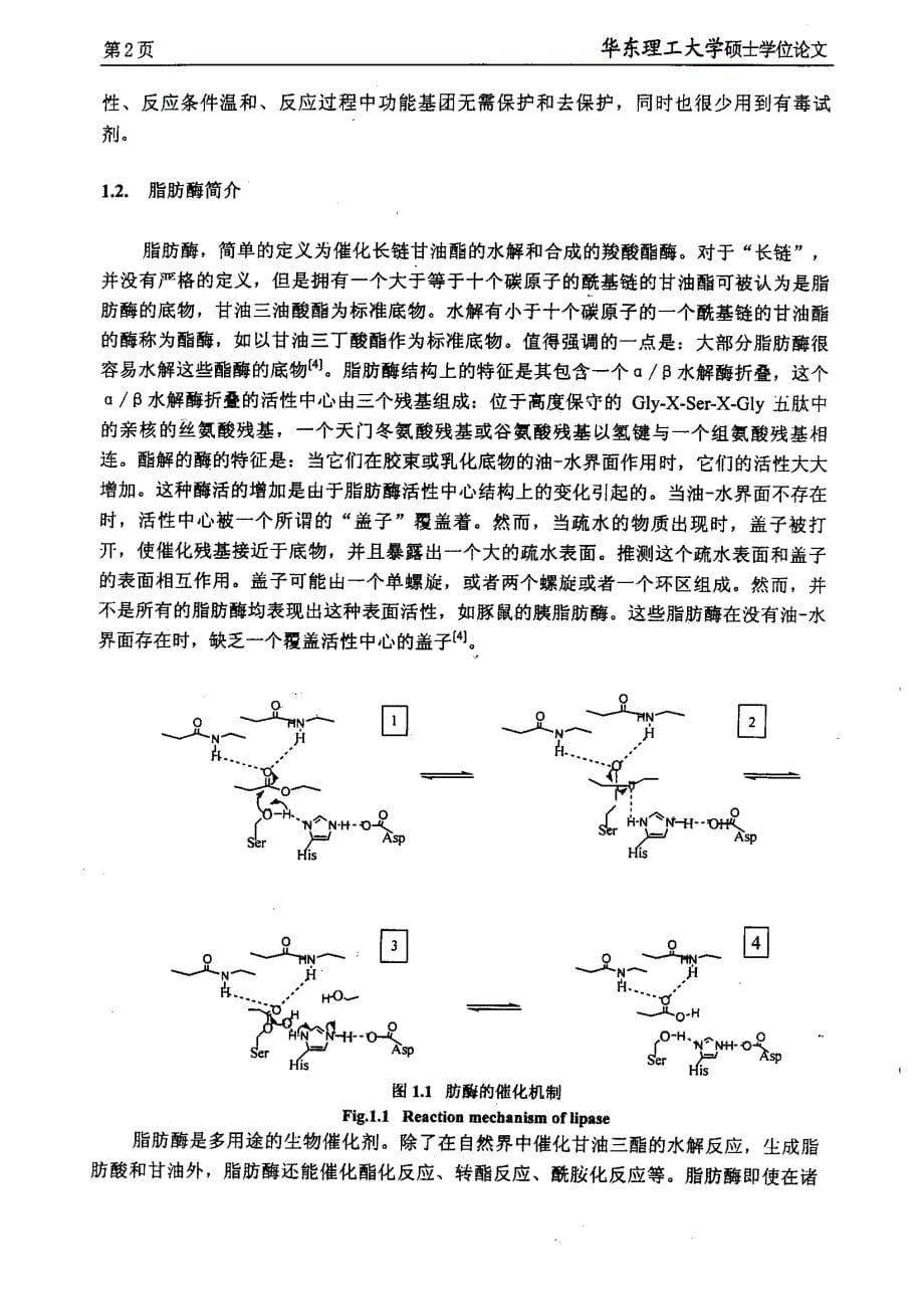 脂肪酶的固定化及其在苯甘氨酸拆分中的应用_第5页