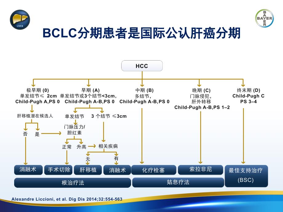 肝癌治疗的全程管理_第4页