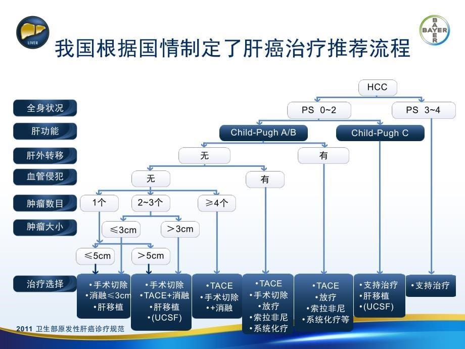 肝癌治疗的全程管理_第5页