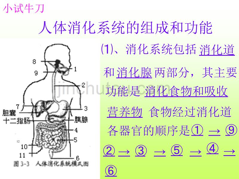 人的食物来源于环境_第4页