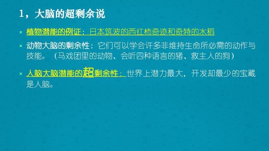 儿童大脑潜能的早期开发_第5页