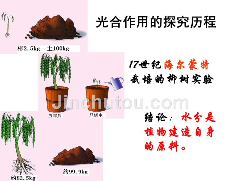 五4  能量之源——光与光合作用(2)1_第3页