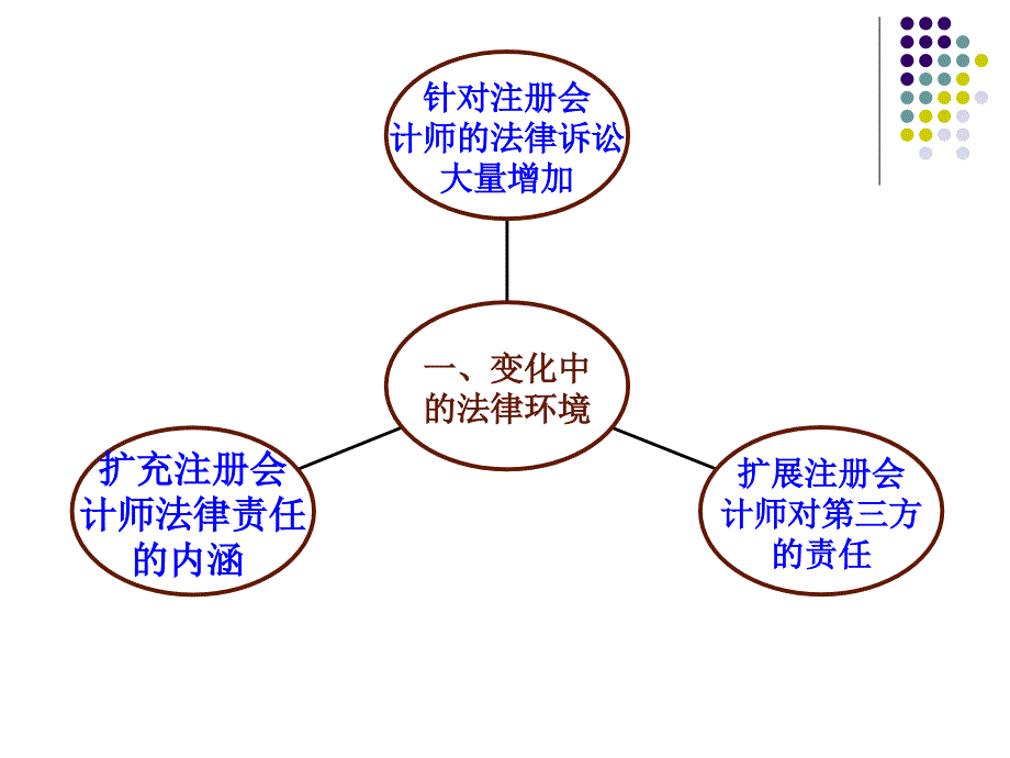 注册会计师法律责任_第3页