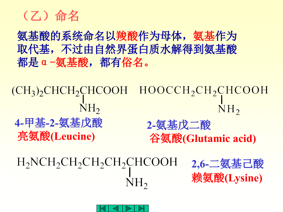 南京理工有机化学讲义课件chapt20_第4页