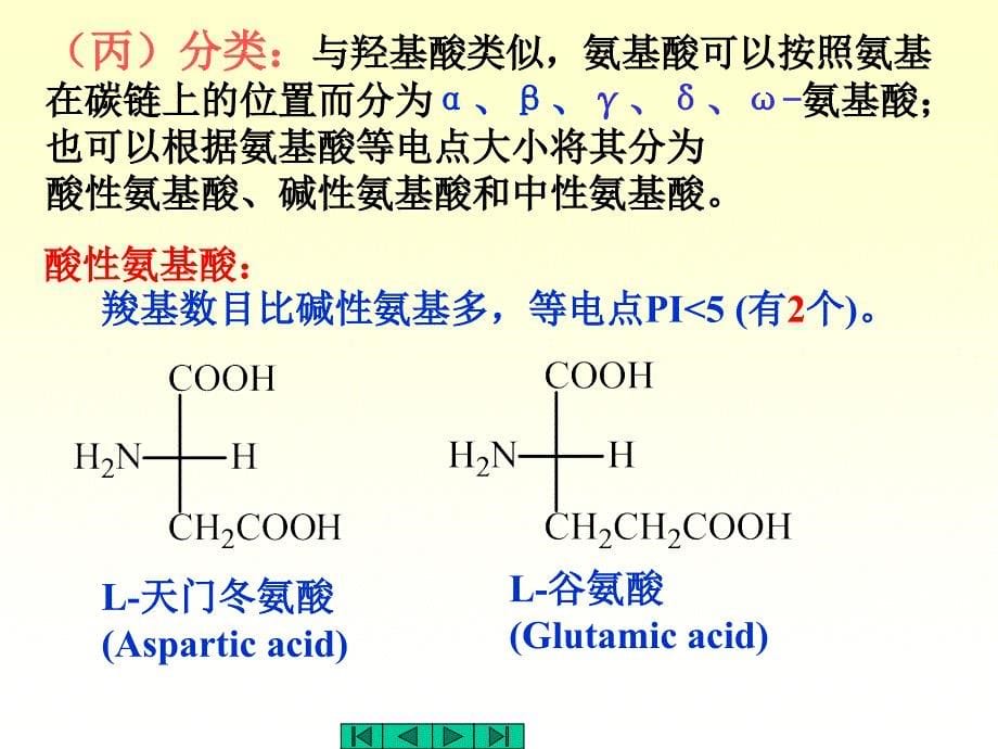 南京理工有机化学讲义课件chapt20_第5页