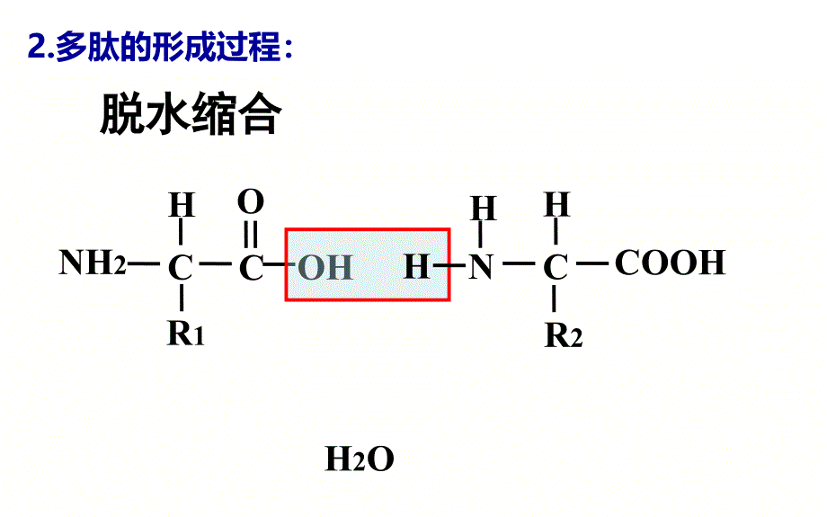 2018高三生物一轮复习蛋白质_第4页