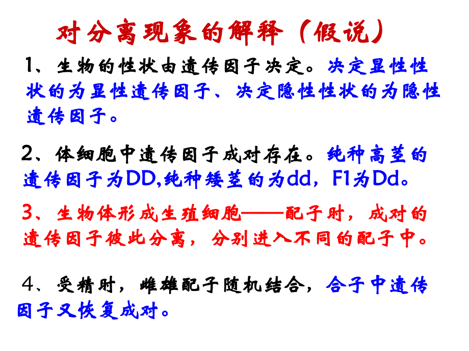 孟德尔一对(0)_第3页