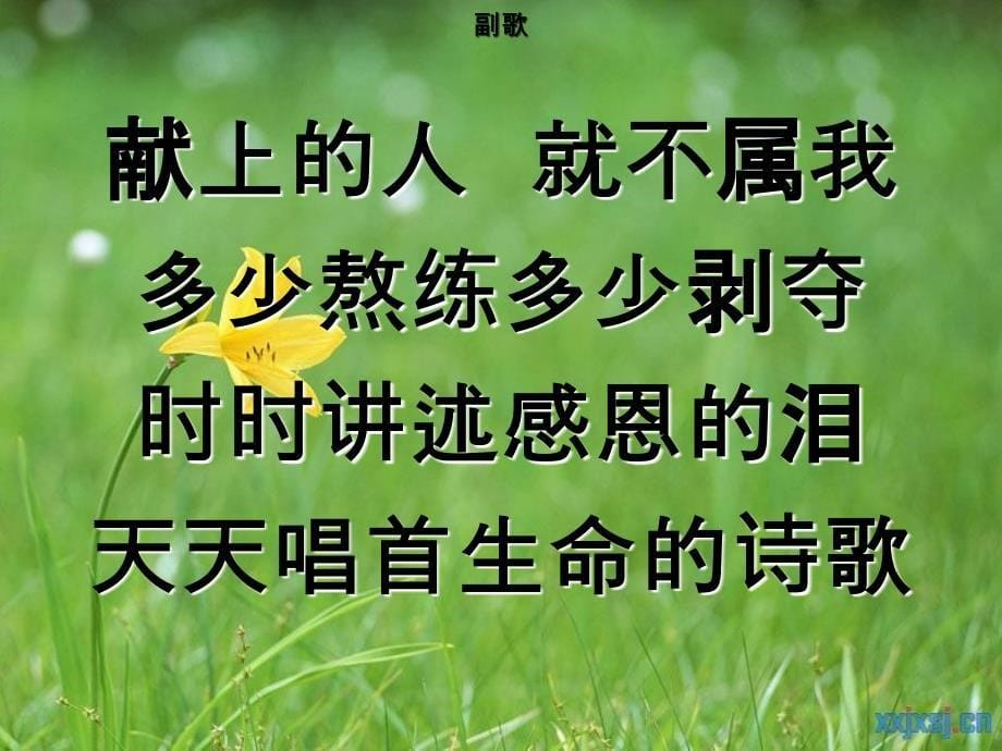 现在的生命不属我-敬拜赞美_第5页