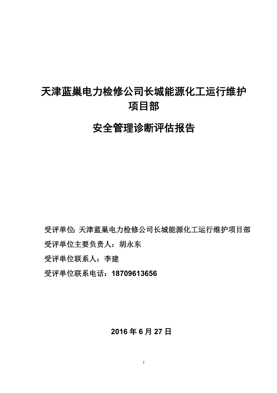 中石化天津蓝巢运行维护项目部安全诊断评估报告_第3页
