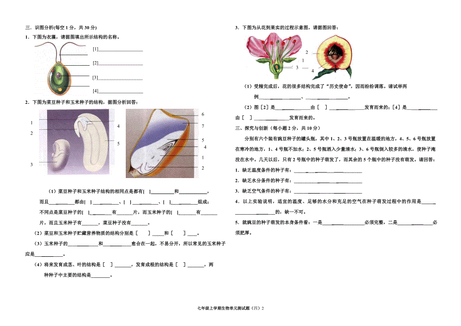 七年级生物上册单元检测试题4_第2页