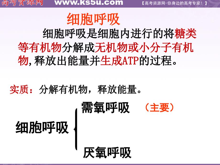 生物：3.4《细胞呼吸》课件(浙科版必修1)_第3页