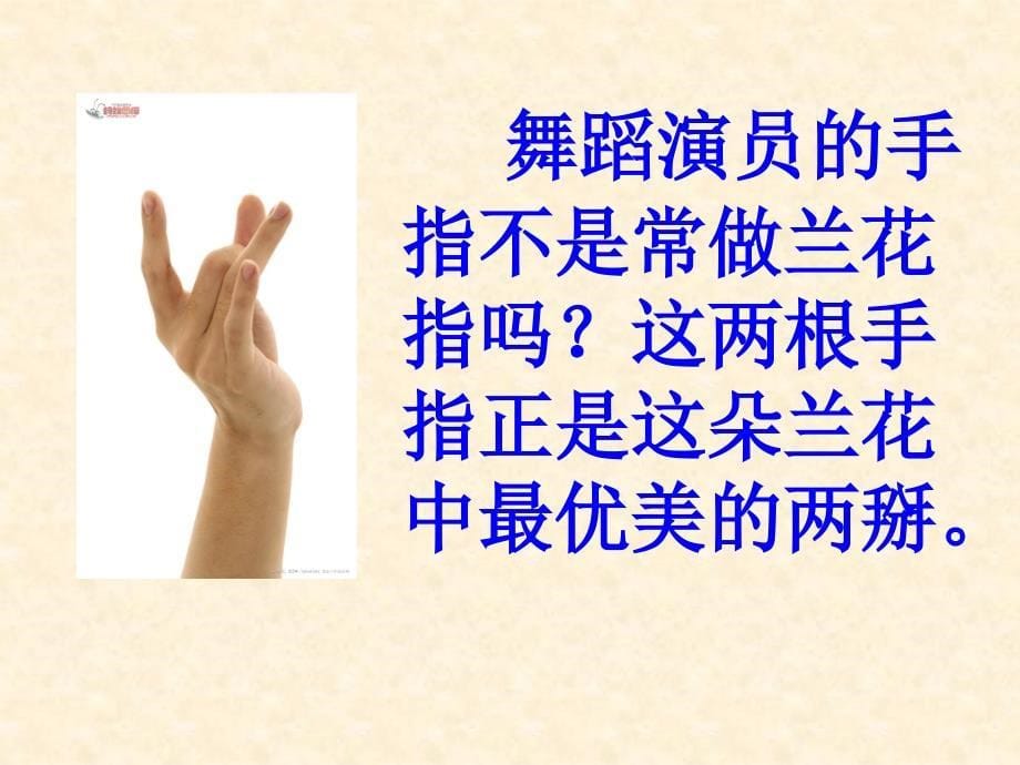 手指ppt ppt课件_第5页