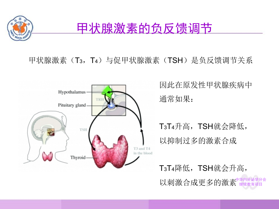 甲状腺疾病的几个问题_第2页