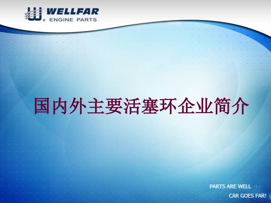 国外主要活塞环厂_第1页