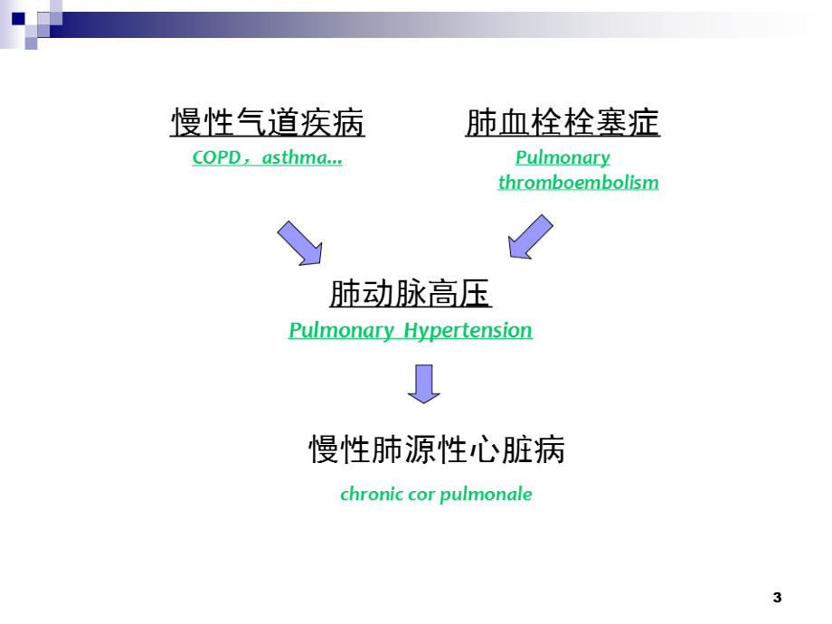 肺动脉高压与慢性肺源性心脏病_第3页