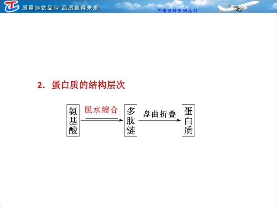 必修①  第一单元  第三讲  生命活动的主要承担者——蛋白质_第5页