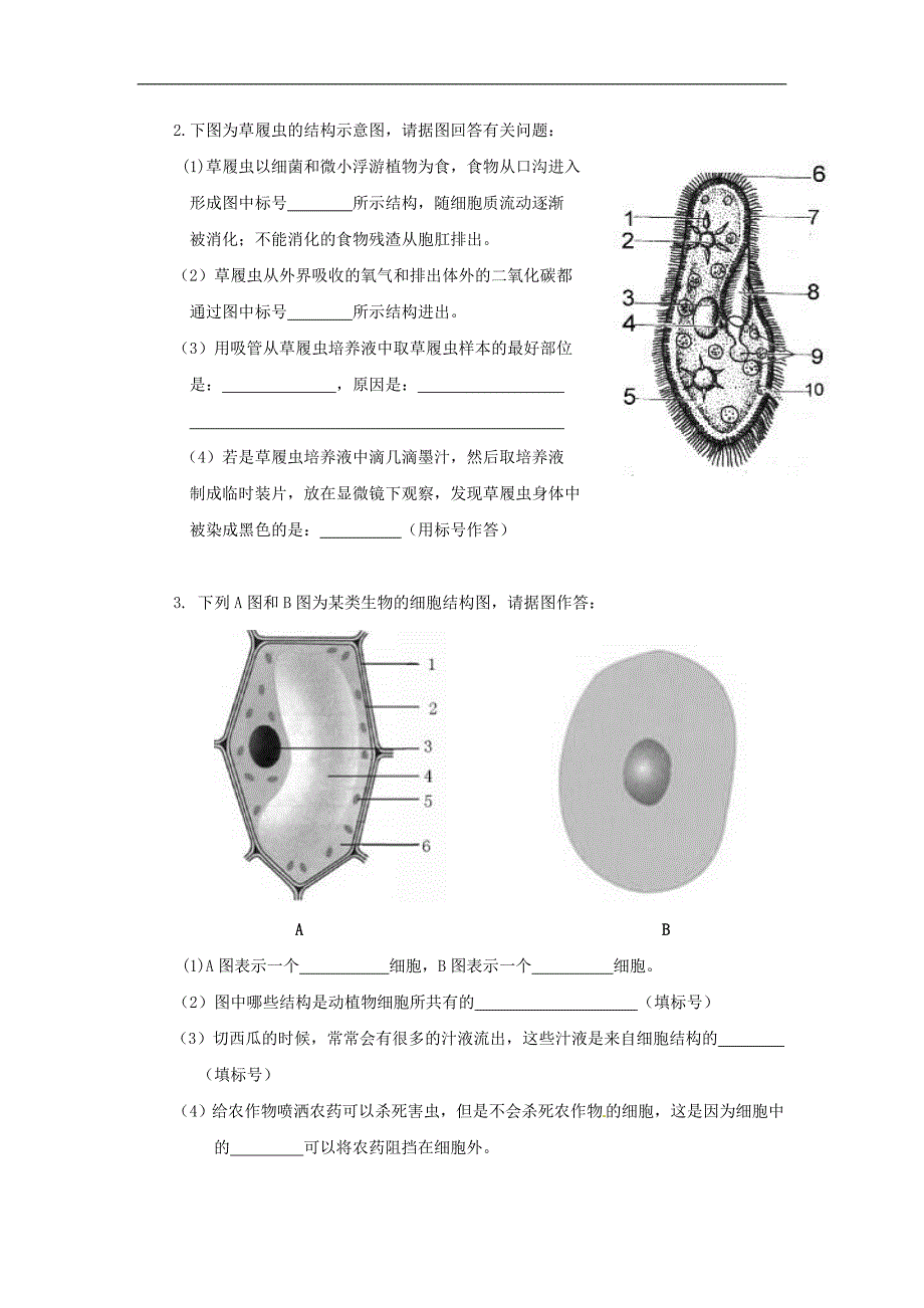 人教版七年级生物上册期末试题及答案最新版本_第4页