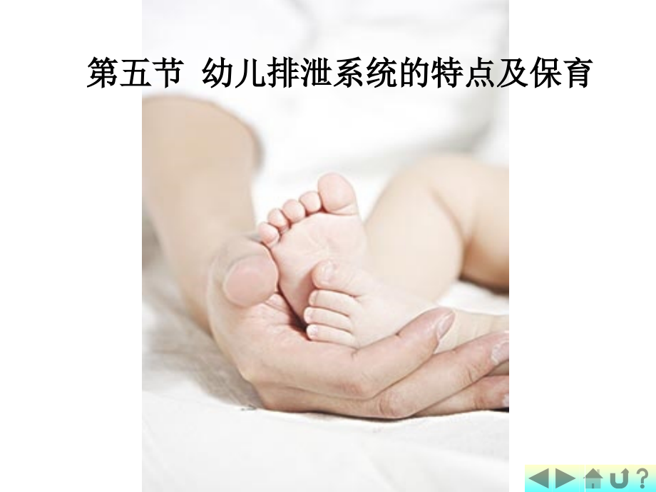 排泄系统与内分泌系统__第1页