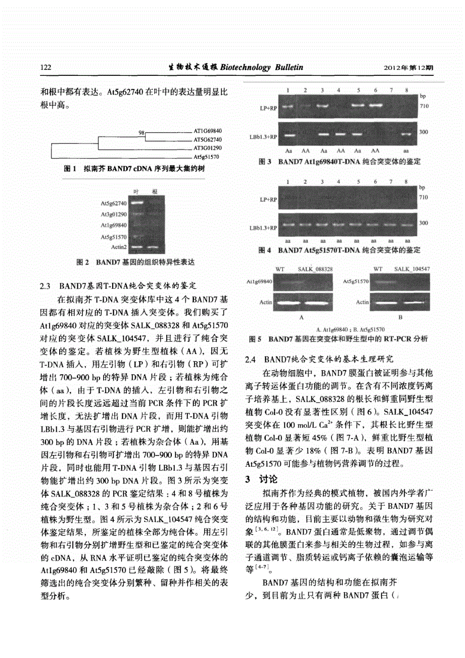 拟南芥BAND7基因序列及相关突变体的生理功能_第3页