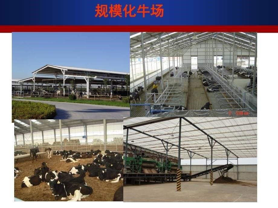 奶牛标准化养殖生产技术规范_第5页