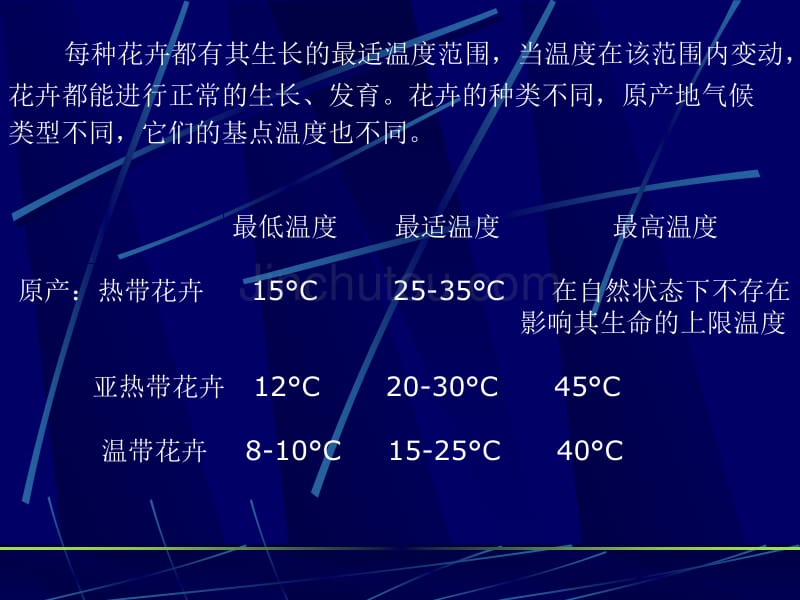 温度光照与花卉_第3页