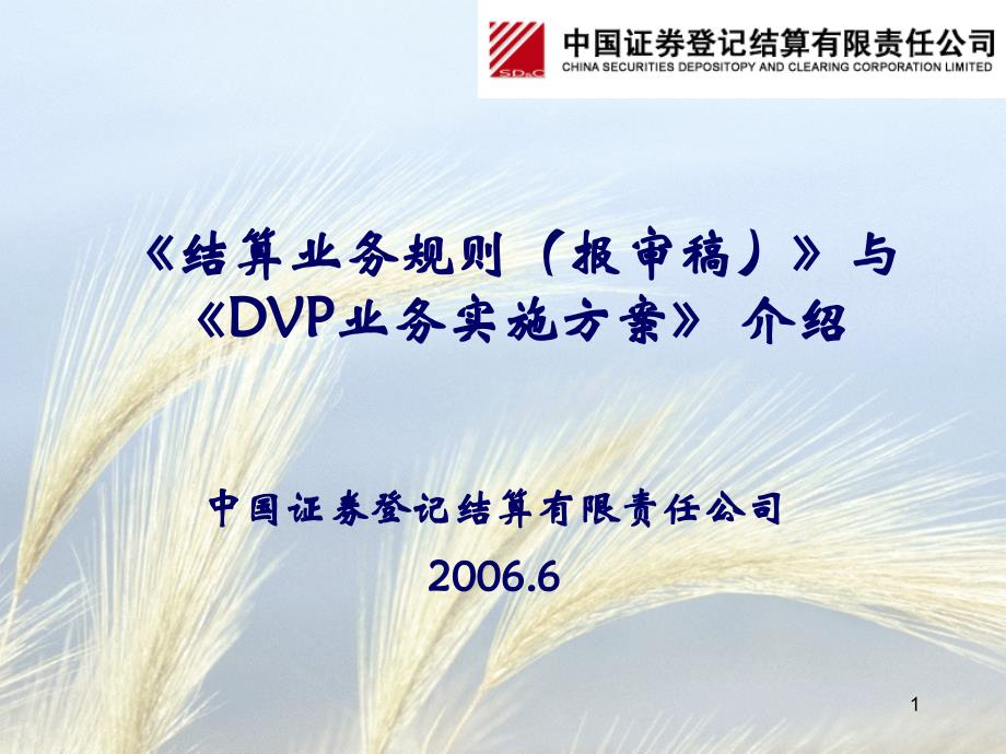 《结算业务规则（报审稿）》与《dvp业务实施方案》介绍_第1页