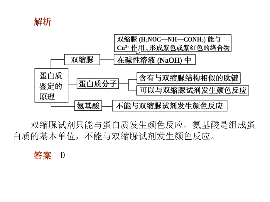 糖类、脂质蛋白质的鉴定_第2页