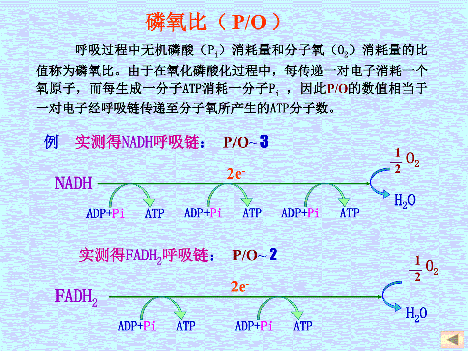 电子传递体系与氧化磷酸化2_第4页