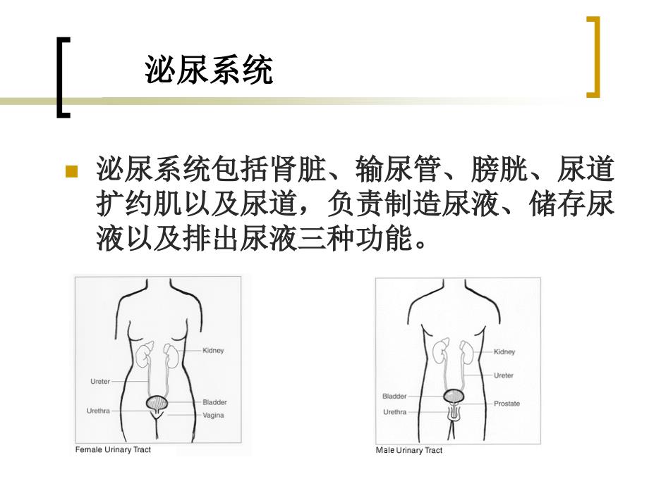 脊髓损伤康复护理_第3页