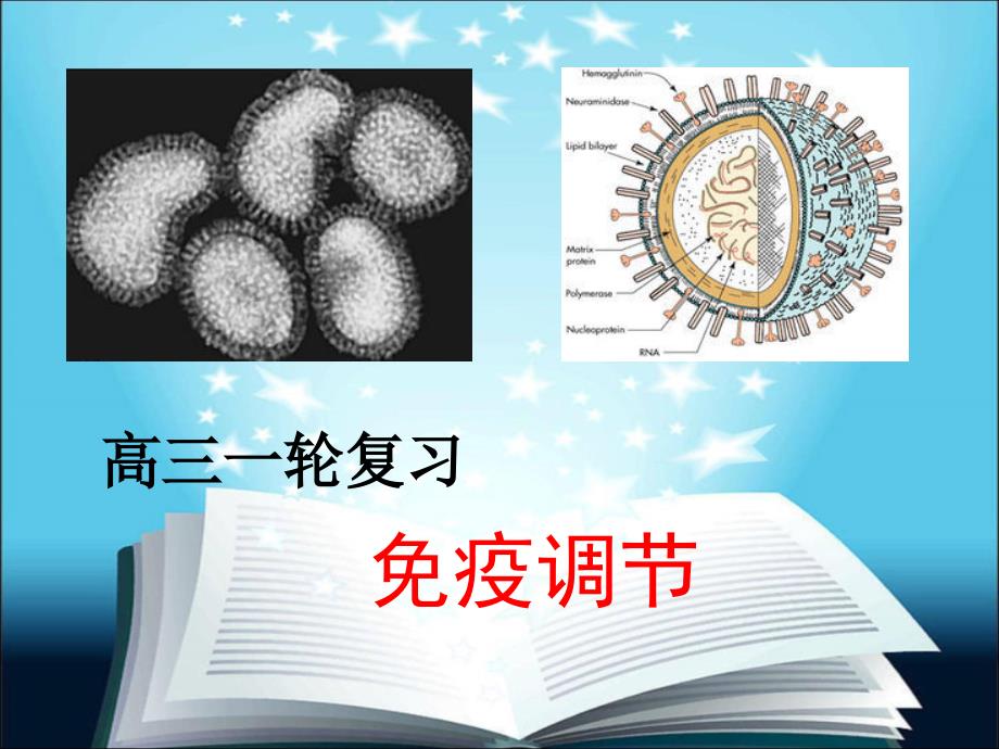 高三生物一轮复习-免疫调节_第1页