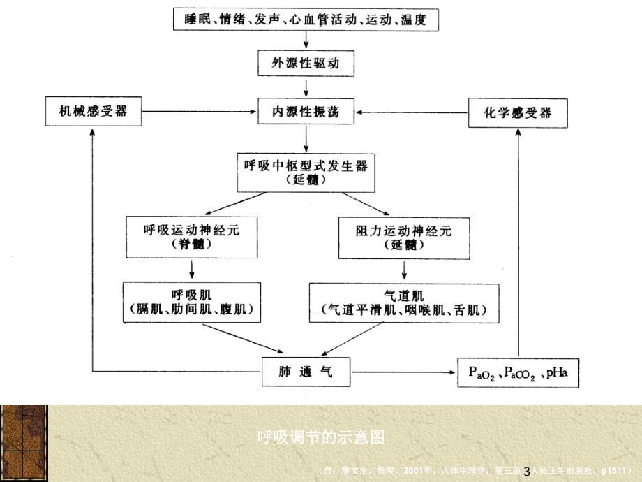 阻塞性睡眠呼吸暂停低通气综合症的治疗(1)_第3页