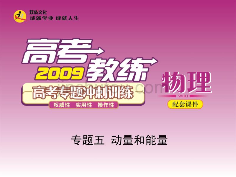 2009年高考物理专题冲刺训练课件专题五 动量和能量_第1页