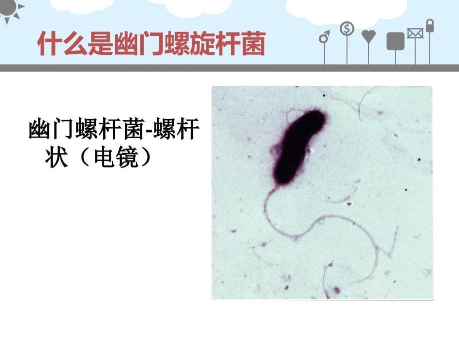 消化实验室常见检查_第5页