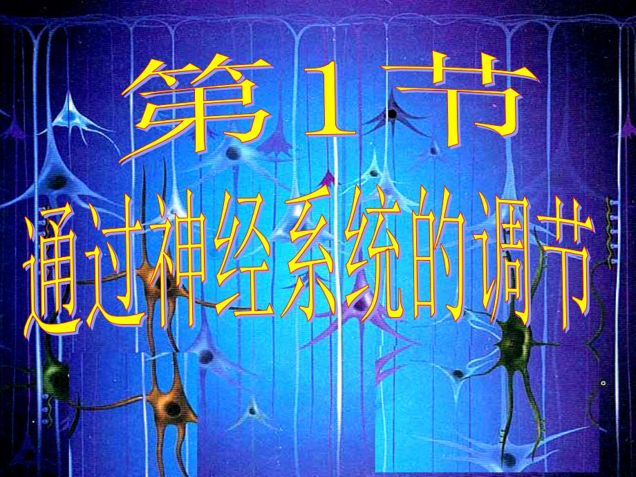 通过神经系统的调节1_第1页