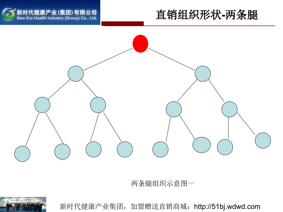 直销奖金制度研讨_第4页