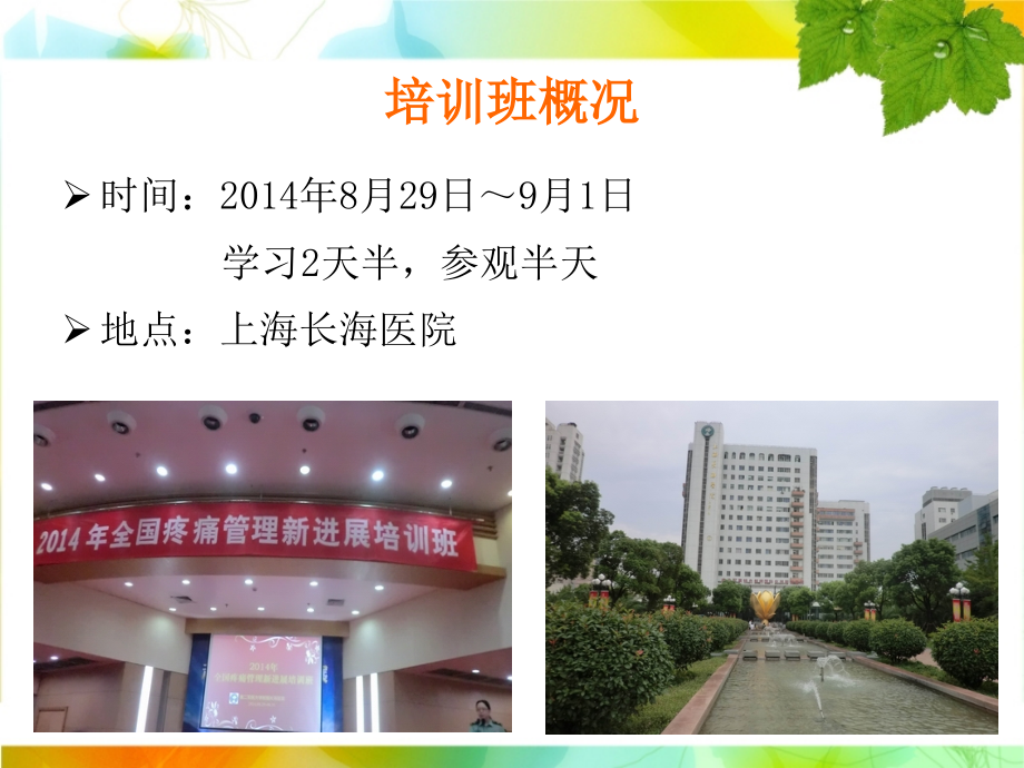 疼痛护理学习班汇报课件_第2页