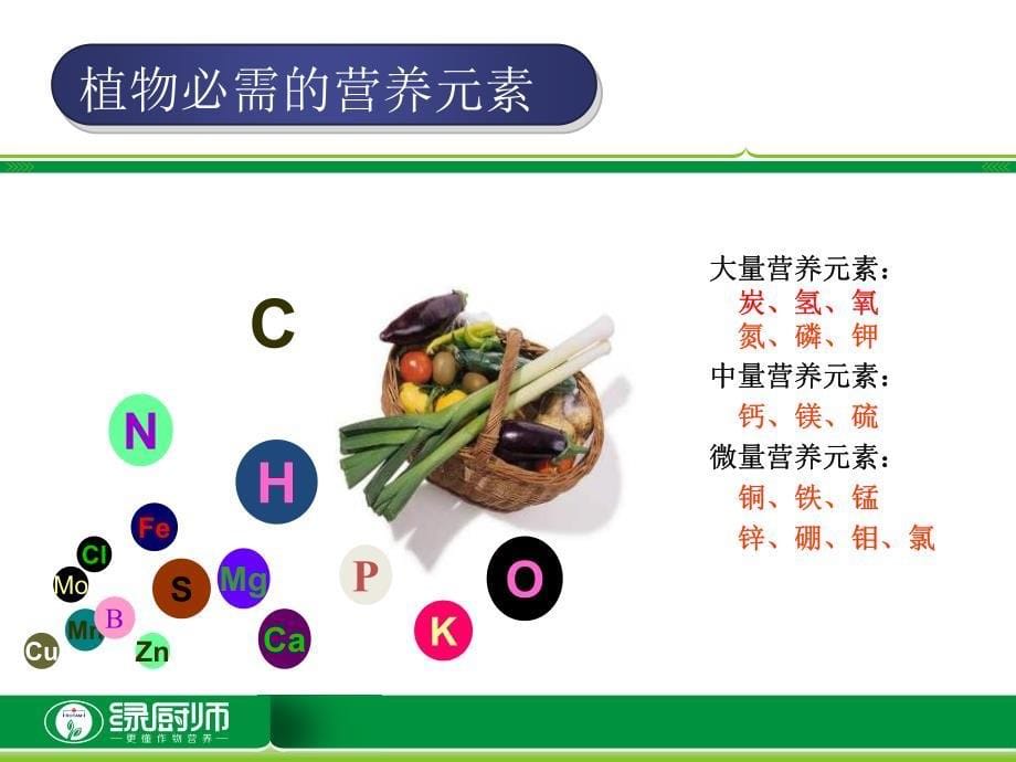 植物营养与土壤的关系_第5页