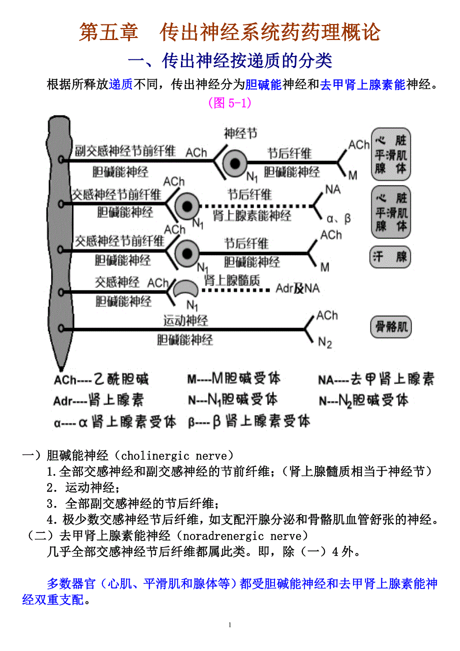 药理学 第五章传出神经系统药药理概论_第1页